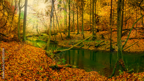 jesień nad rzeką Łyną na Warmii w północno-wschodniej Polsce
