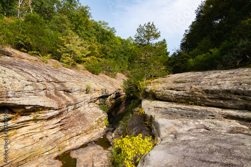 Bell Smith Springs Landscape