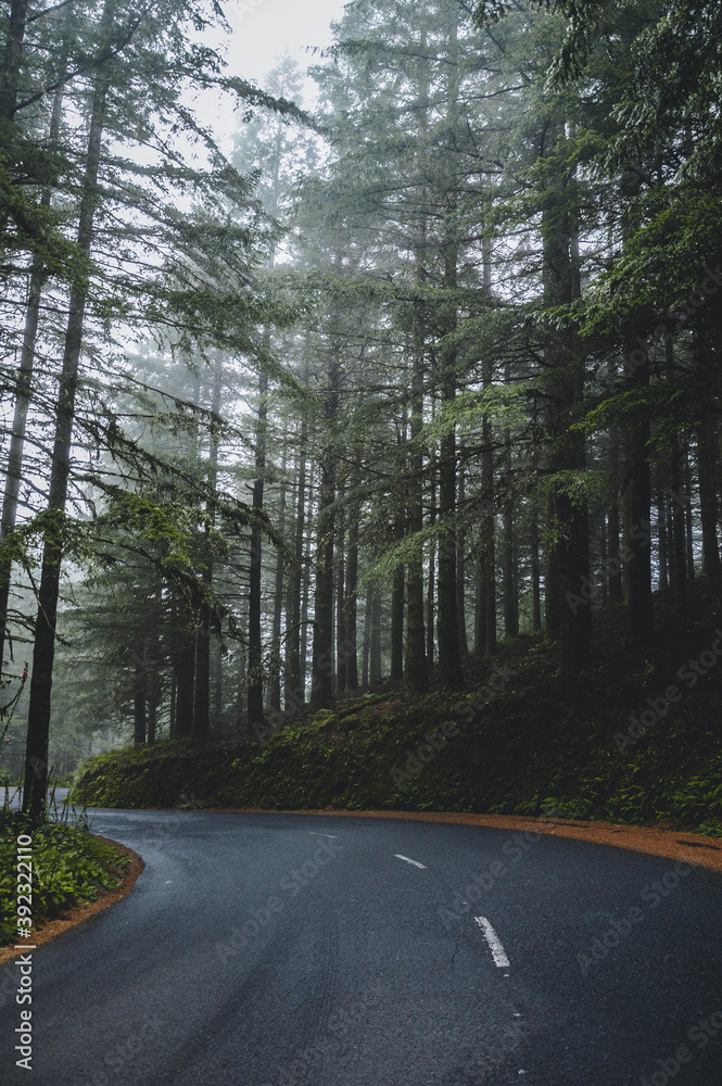 Naklejka premium Passeando pelas ruas na Madeira, em 2018