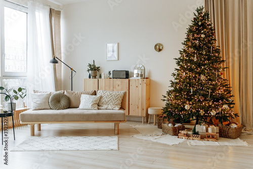 Bright interior of the living room with a sofa and a large Christmas tree. New year's interior.