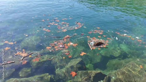 Hojas y suciedad flotando en el mar con agua muy clara. y rocas de fondo