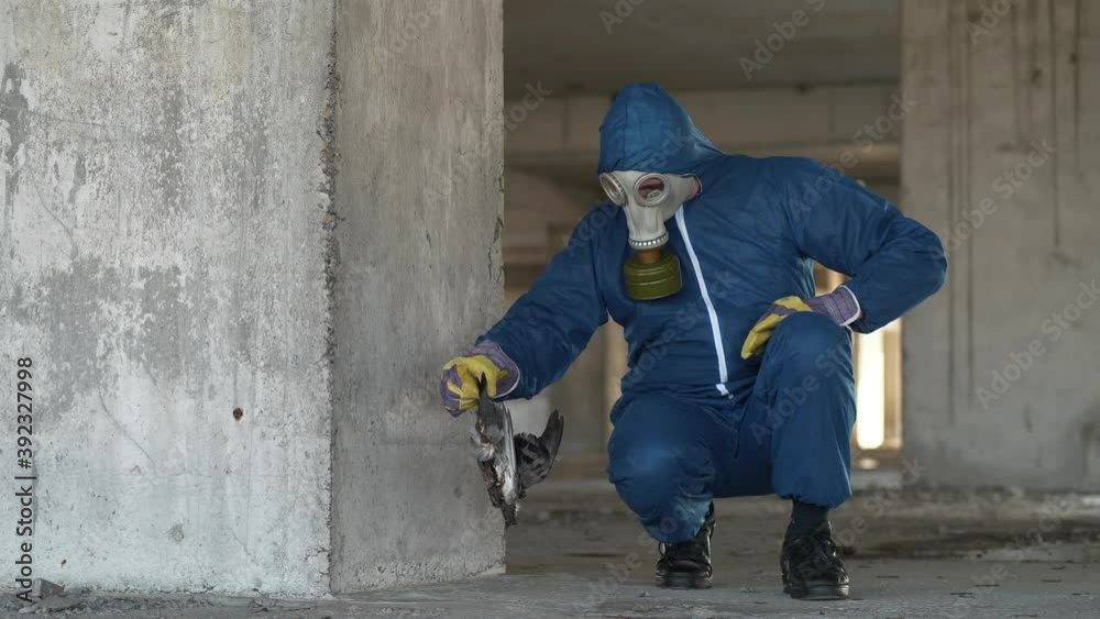 Workman in gas mask and protection suit at project site examine dead bird Workman in gas mask and protection suit at project site examine dead bird