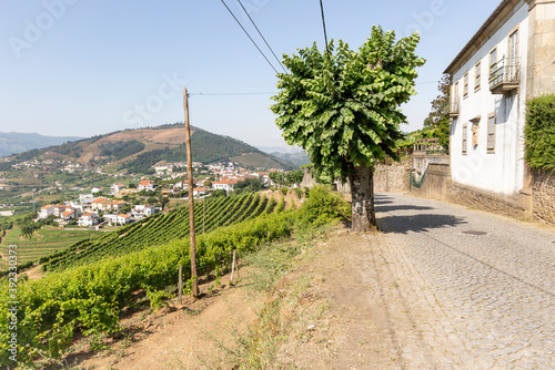 a cobbled street entering Mesao Frio town and vineyards on the slopes of Douro river, district of Vila Real, Douro, Portugal photo