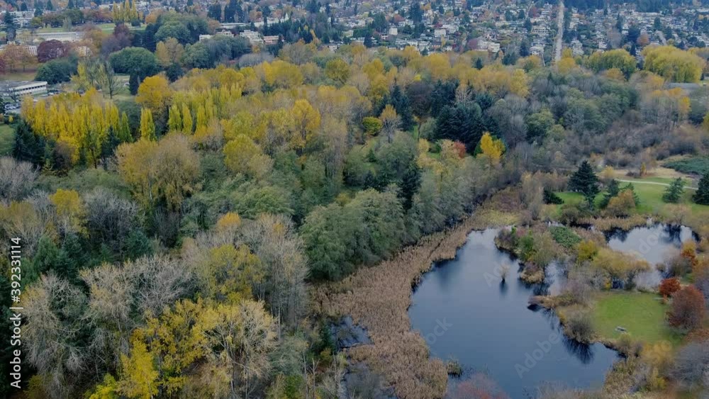 Fly over the small lake in the middle of Vancouver and colourful trees Fly over the small lake in the middle of Vancouver and colourful trees