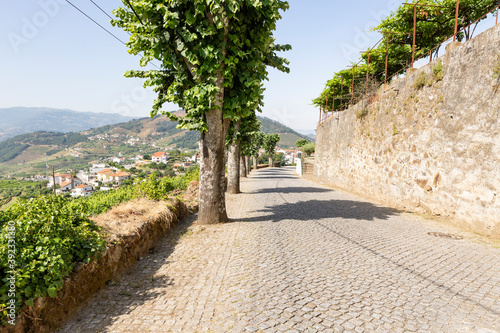 a cobbled street entering Mesao Frio town, district of Vila Real, Douro, Portugal photo