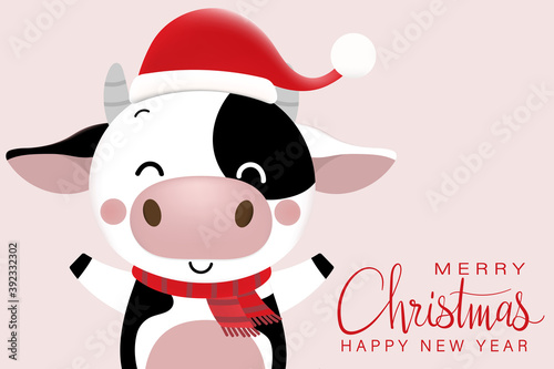 Merry Christmas and happy new year 2021. The year of the ox. The male cow wear red winter costume. Animal holidays cartoon character. -Vector