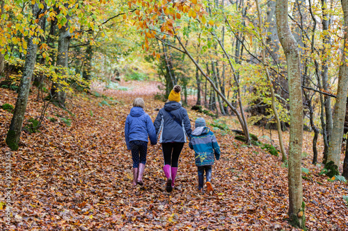 A photo of a family of three walking away through an autumnal woodland setting.