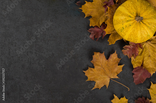 Autumn still life pumpkin on maple and oak leaves on a dark gray background top view copy space