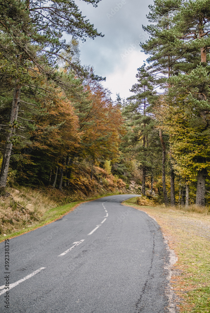 Obraz premium Route automnale 