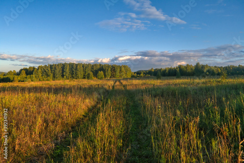 Mown meadow against a background of forest and blue sky with white clouds. The end of the summer.