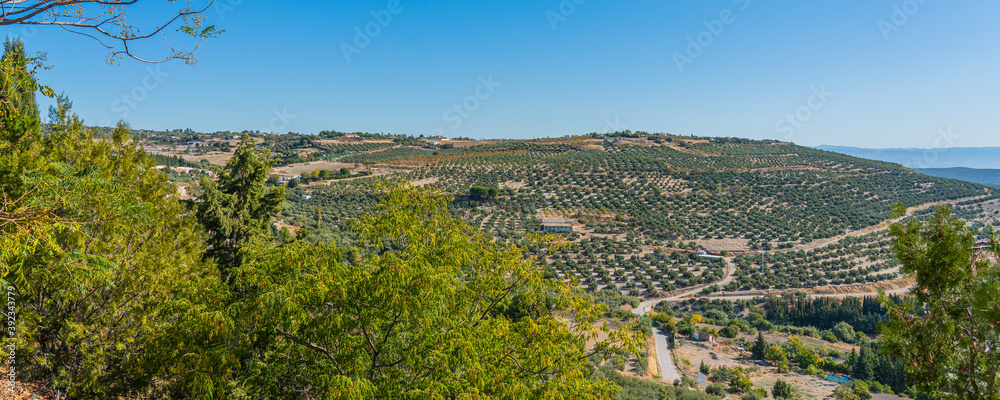 View of olive groves and countryside, Ubeda, Jaen Province, Andalucia, Spain