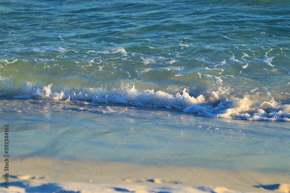 Ocean water, shore of a sandy beach