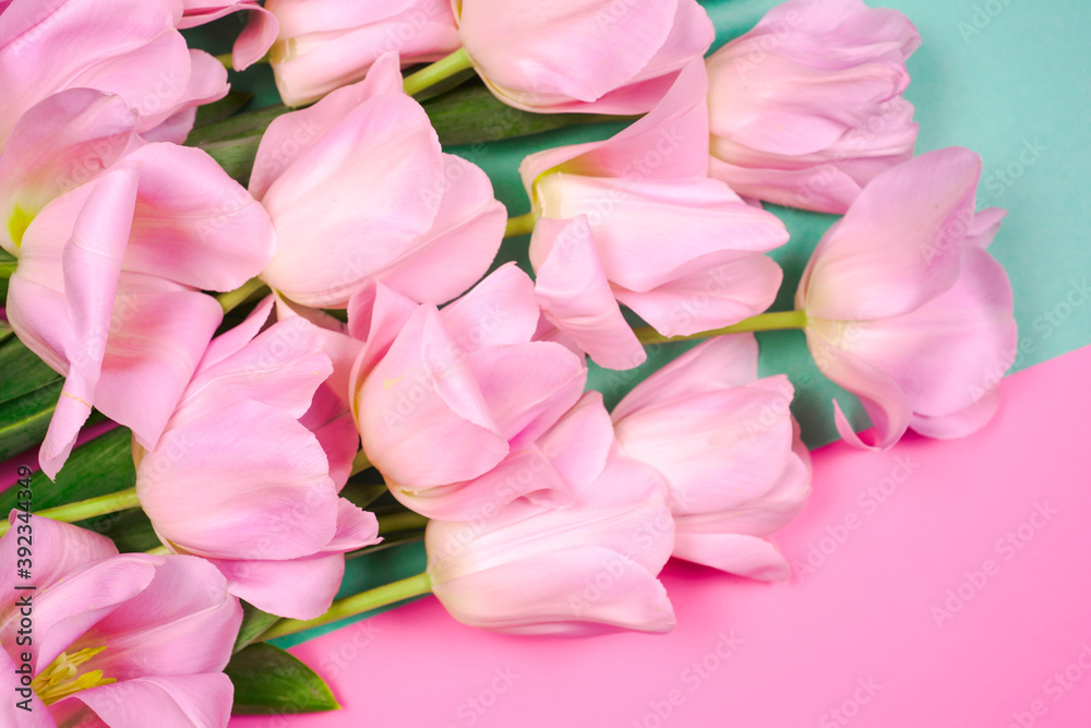 spring flowers banner - bunch of pink tulip flowersbright colorful background.