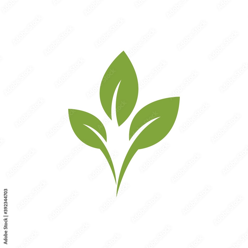  green leaf illustration