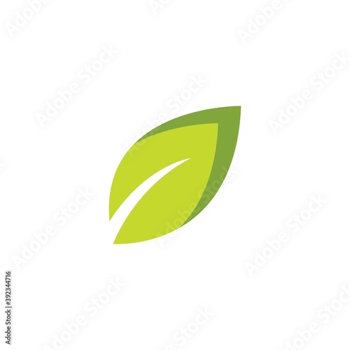  green leaf illustration