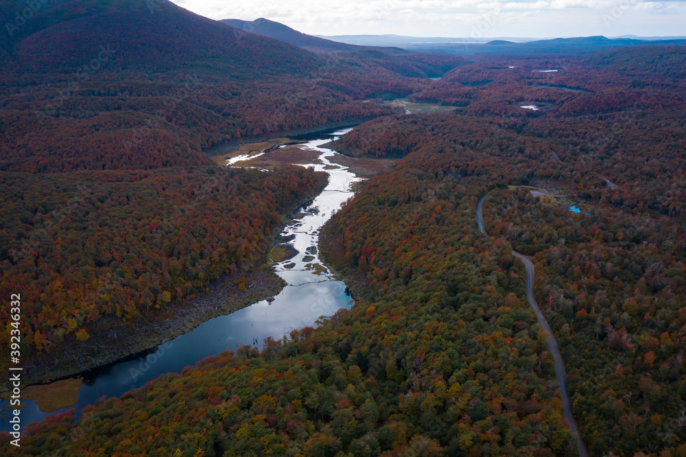 Vista aerea del bosque y rio con los colores del otoño.