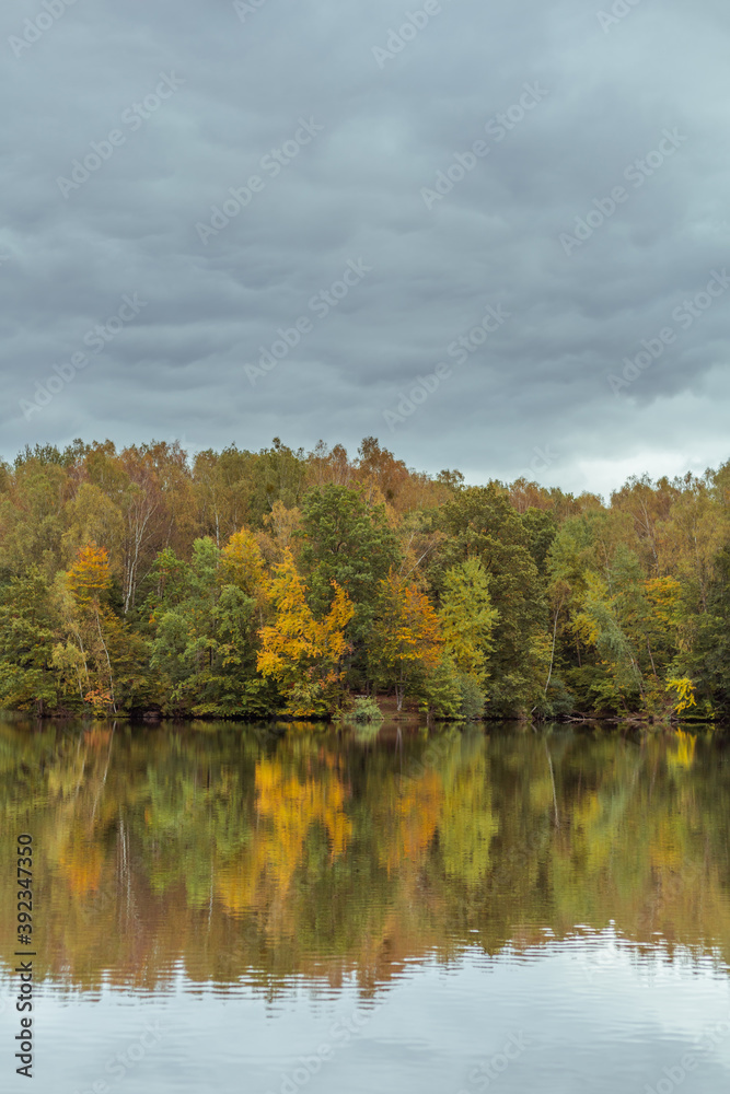 beautiful autumn forest by the lake on a cloudy day