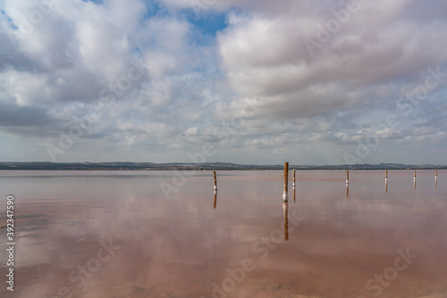 Wooden posts in the pink salt lake with reflection on water from clouds, Laguna Rosa © ggfoto