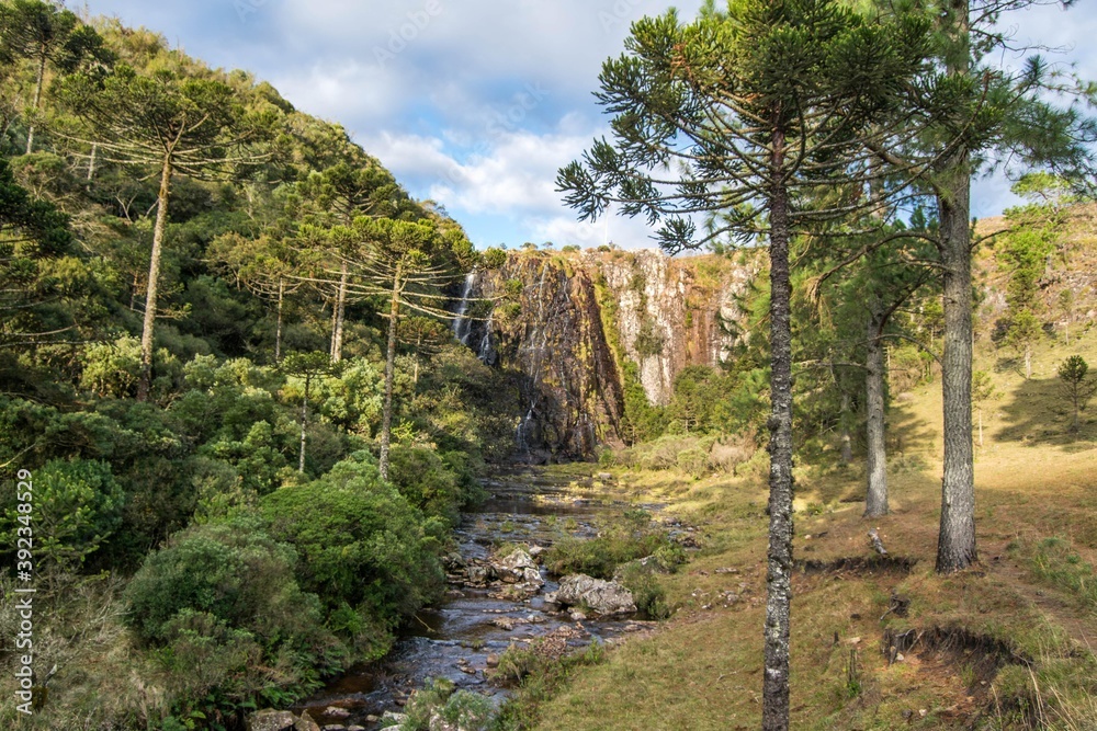 Juvenal Waterfall in São José dos Ausentes - RS. Beautiful waterfall between fields and a pine valley in Rio Grande do Sul Juvenal Waterfall in São José dos Ausentes - RS. Beautiful waterfall between fields and a pine valley in Rio Grande do Sul