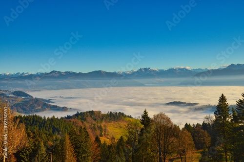 over the sea of ​​mist, autumn, Zurich oberland
