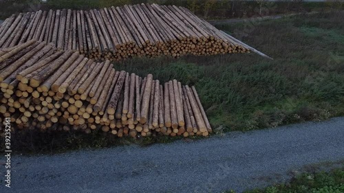 pile of wood or firewood diferent video clips -circle photo