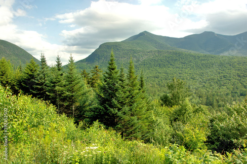 Springtime in mountains of New Hampshire. Scenic view of evergreen trees  lush green foliage  and peaks of Mount Osceola from Kancamangus Highway in White Mountain National Forest.