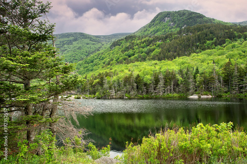 Springtime in White Mountains of New Hampshire. Scenic view of 4800-foot Mount Moosilauke, lush green foliage, and peaceful Beaver Pond near top of Kinsman Notch in White Mountains of New Hampshire.