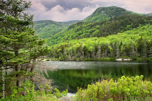 Springtime in White Mountains of New Hampshire. Scenic view of 4800-foot Mount Moosilauke, lush green foliage, and peaceful Beaver Pond near top of Kinsman Notch in White Mountains of New Hampshire. photo