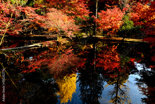 曽木公園の紅葉