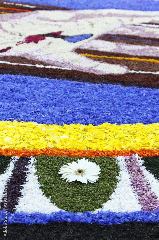 Obraz premium Multicolored floral carpet