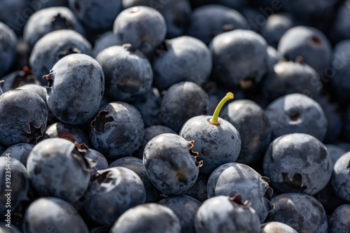 Foto Closeup shot of a pile of freshly harvested blueberries