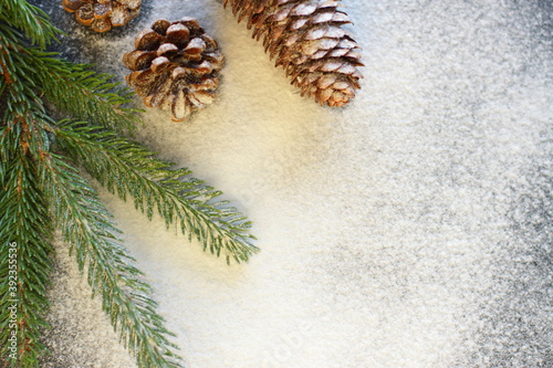 Christmas and New Year winter decoration, fur tree and pine cone with snow, festive flat lay 2021 