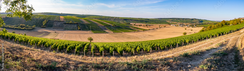 Panorama on the vineyard of Sancerre
