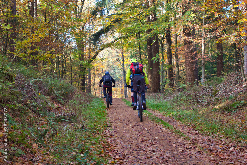 Biker im Herbstwald