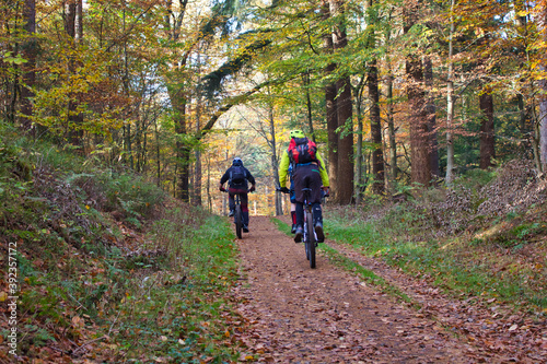 Biker im Herbstwald