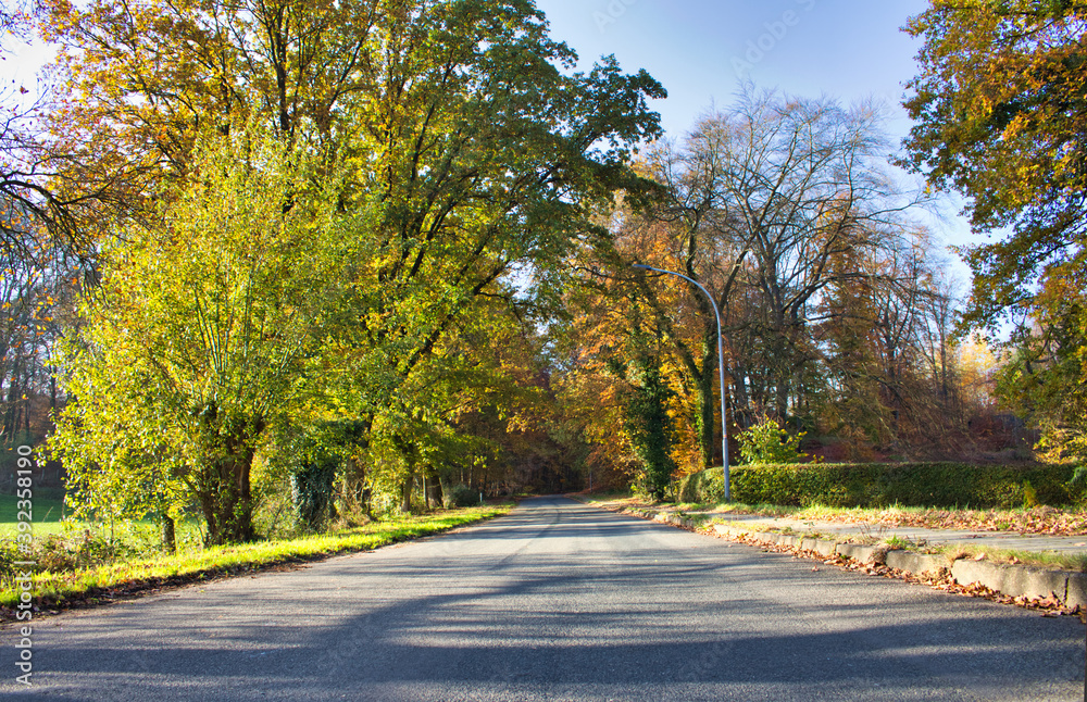 Straße in Herbstlandschaft