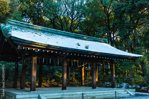 日本 東京都渋谷区代々木、雪の積もった明治神宮の境内