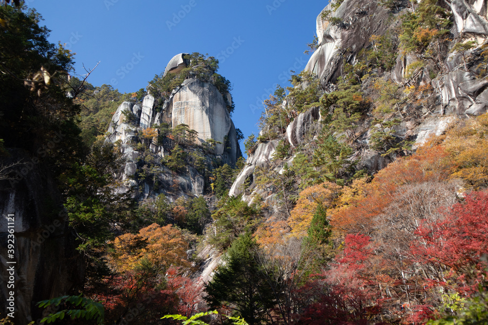 Obraz premium 紅葉の岩山