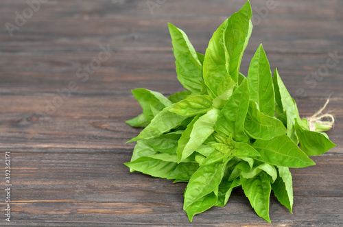 Bunch fresh green basil on an old wooden background with copy space