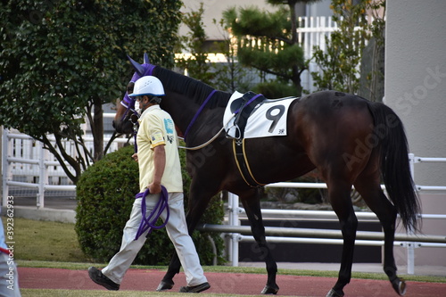 競馬場パドック