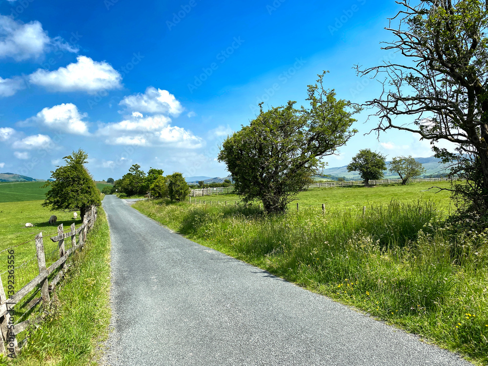 View along, Brackenley Lane, with fields, trees, and hills in the far distance near, Skipton, Yorkshire, UK View along, Brackenley Lane, with fields, trees, and hills in the far distance near, Skipton, Yorkshire, UK