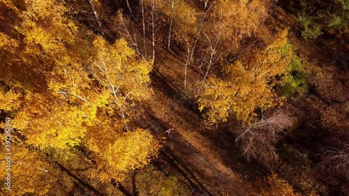 Happy child in autumn forest, running over pathway covered dry foliage. Cinematic drone footage photo