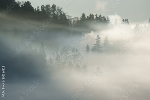 Fotografie 朝霧の里山