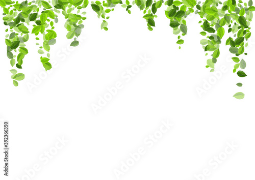 Green Greens Spring Vector Poster. Fresh Leaves 