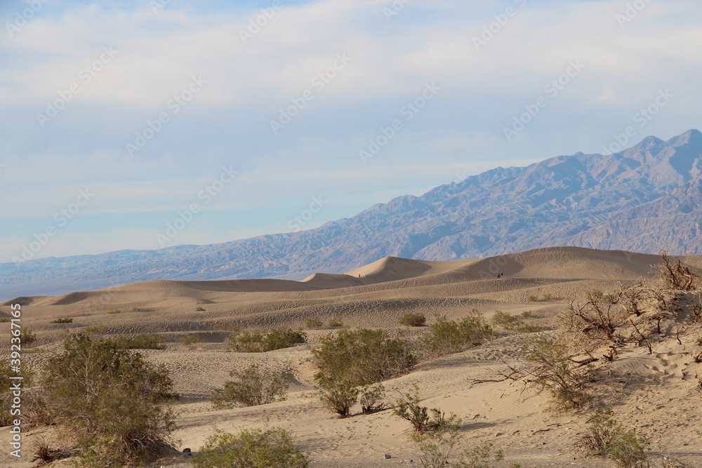 Mesquite sand dunes in Death Valley.