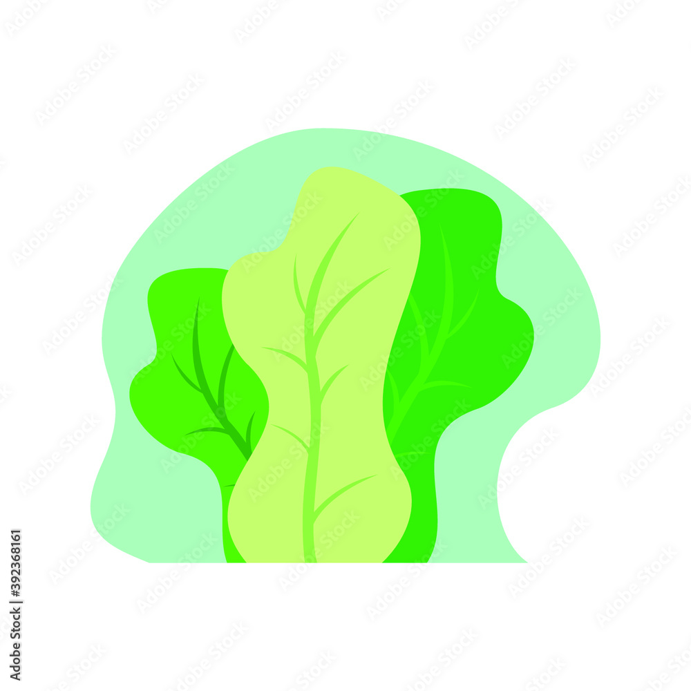 leaves flat design illustration vector, set of leaves, plants, flat design