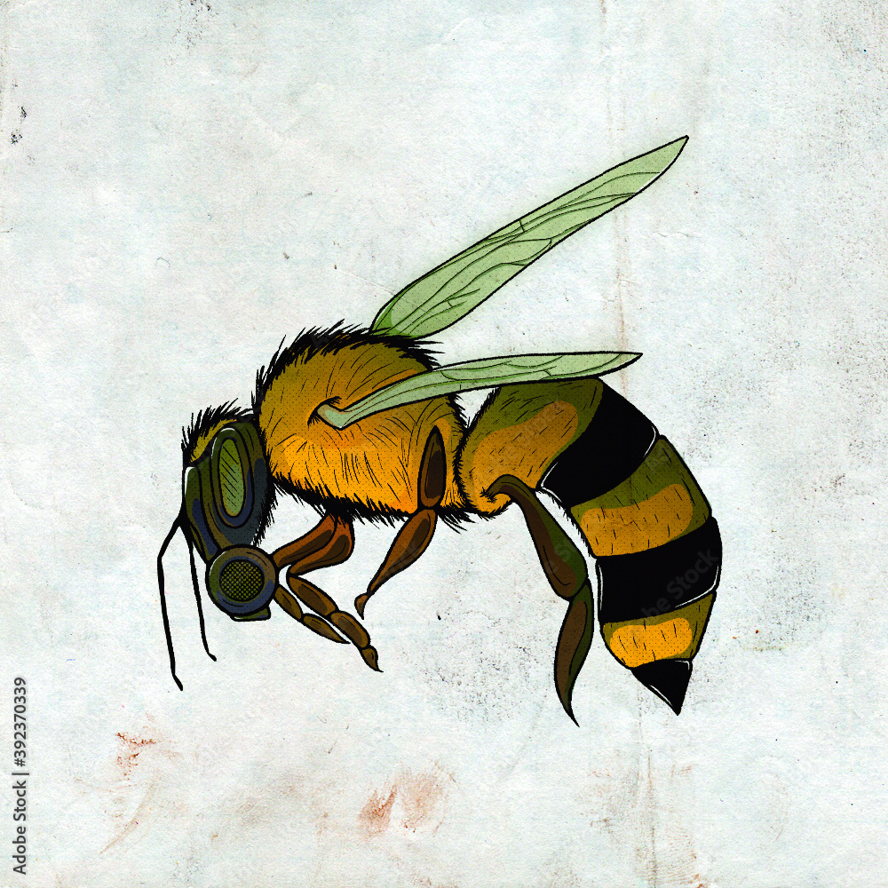 Bee Illustration