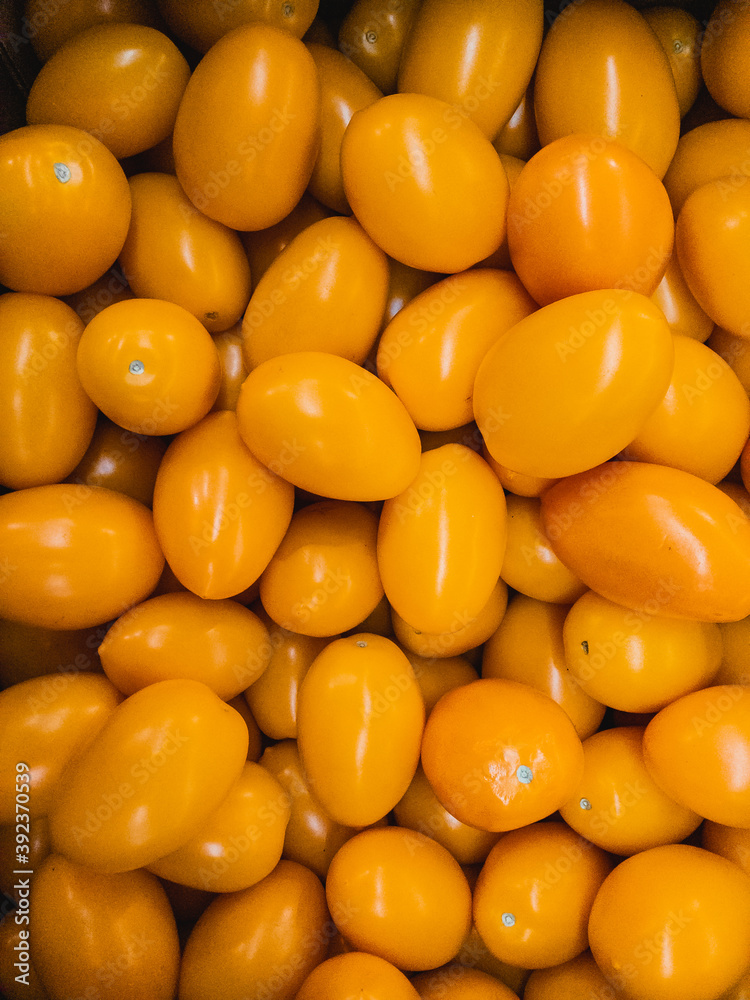 Yellow tomatoes in the supermarket. Yellow tomato background. A bunch of fresh tomatoes. Vertical image. Yellow tomatoes in the supermarket. Yellow tomato background. A bunch of fresh tomatoes. Vertical image.