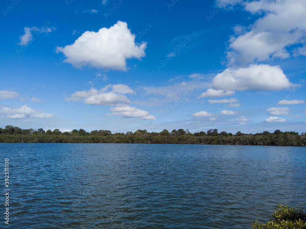 View of river and tree on the distant.