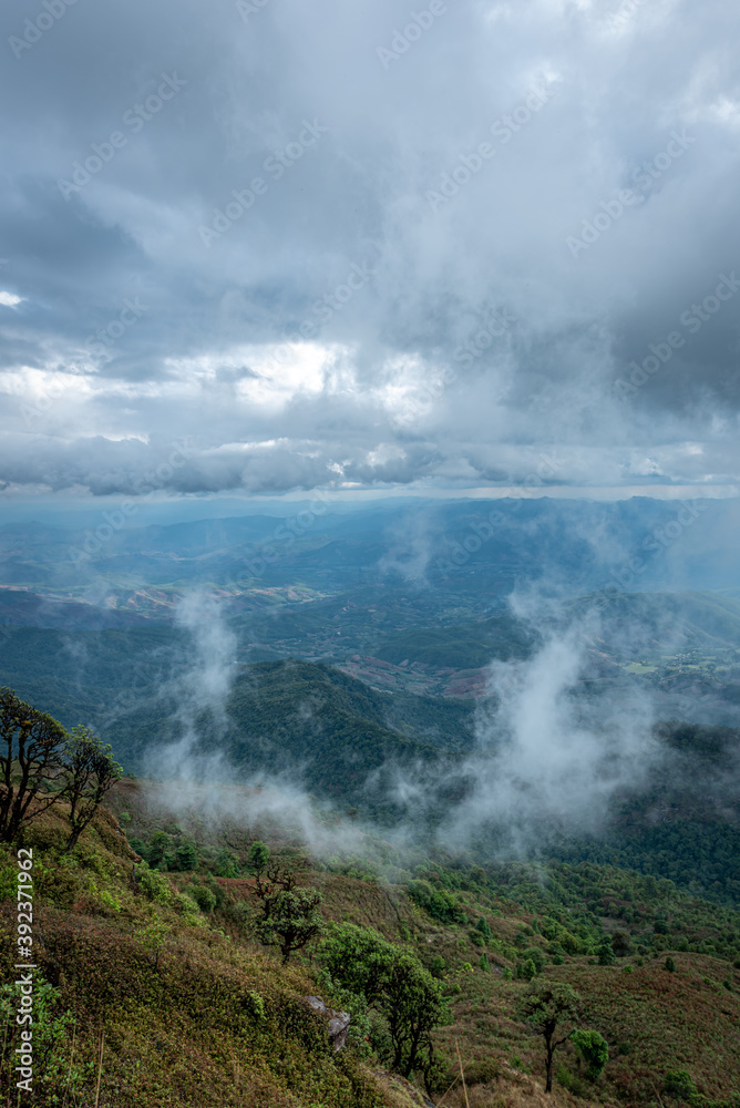 Fog Mountain View